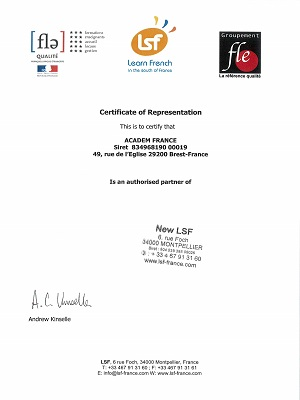 сертификат языковой школы ЛСФ